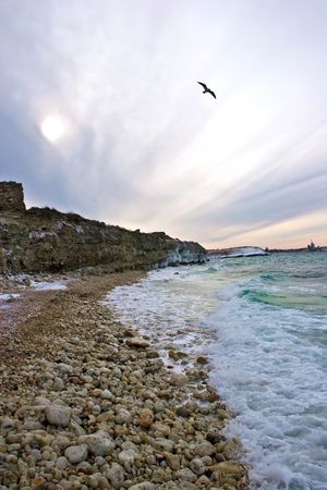 Seagulls fly by over the winter storm sky against a declineの写真素材