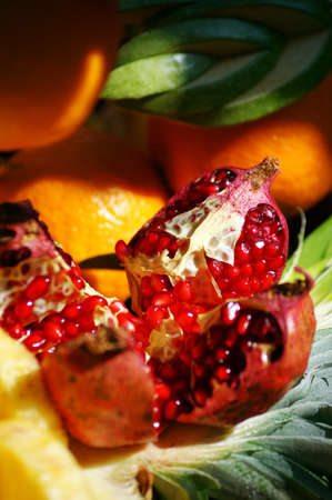 Autumn fruits and vegetables             の写真素材