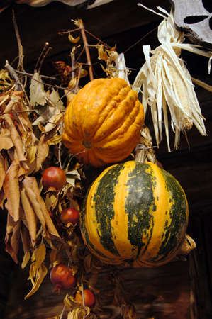 Closeup of autumn vegetables                の写真素材