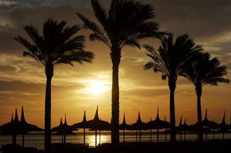 Sunrise over the Red sea beach               の写真素材