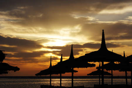 Sunrise on the tropical beach in Red sea srea         の写真素材