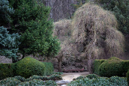 garden bench in Tbilisi botanic garden: spring timeの写真素材