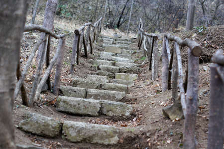 Spring time: step way in the gardenの写真素材