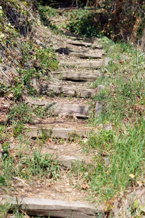 Spring time: step way in the garden