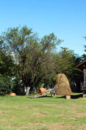 Rural landscape: traditional georgian wine jug and hayの写真素材