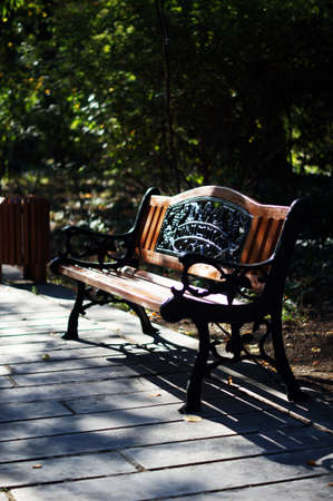 Park bench in the sunlightの写真素材