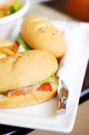 Fast food big sandwich with lettuce, tomato, smoked ham and cheese on plate  and plate with green saladの写真素材