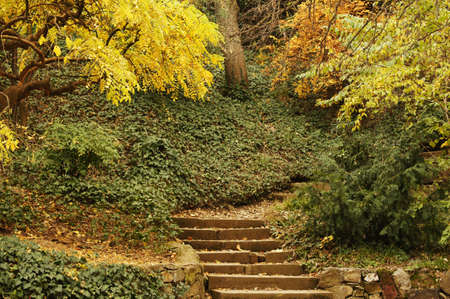 Autumn landscape: road in the Tbilisi botanic gardenの写真素材
