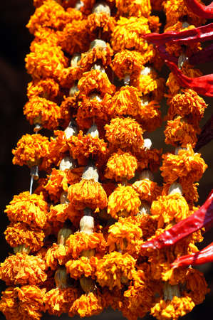 Closeup of saffron dried flowers - famous georgian spice Imereti saffronの写真素材