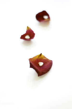 Red rose petal and heartsの写真素材