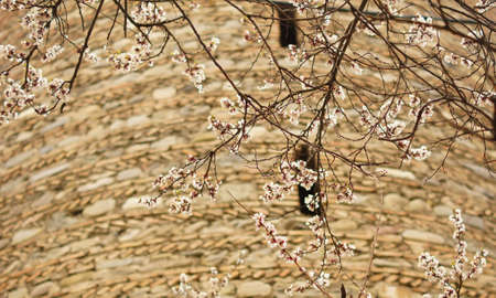 View of traditional narrow streets of Old Tbilisi, Republic of Georgiaの写真素材
