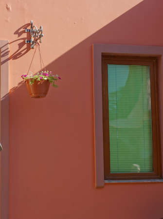 Window with flower pot and bright flowersの写真素材