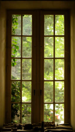 Old window with fresh green leaves outdoor