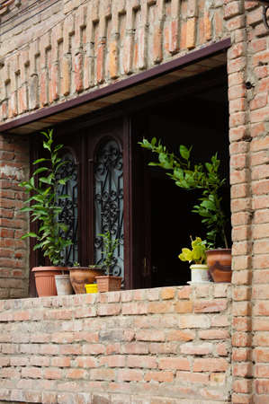 Old window with plant in a pot in Old Tbilisi, Georgiaの写真素材