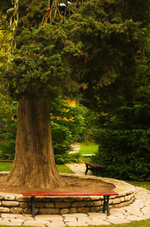 Stairs on th ehill slop in Bodbe monastery in autumn time, Georgiaの写真素材