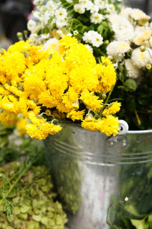 Autumn flowers and fruits in big compositionの写真素材