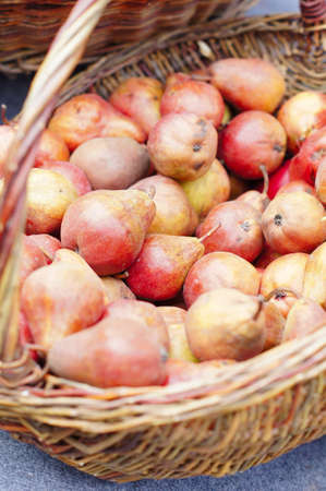 Closeup of fresh autumn fruitsの写真素材