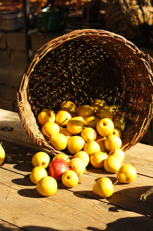 Fruits of pear in the basket on the wooden tableの写真素材