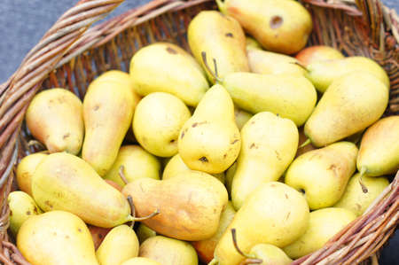 Closeup of fresh autumn fruits