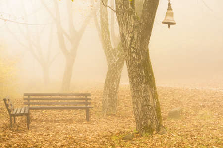 Misty morning in a autumn park. Fallen leavesの写真素材
