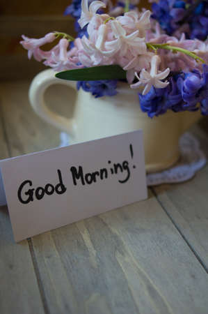 Hyacinth in an old clay vase with waterdrops and on a old piece of wood for a rustic look.の写真素材