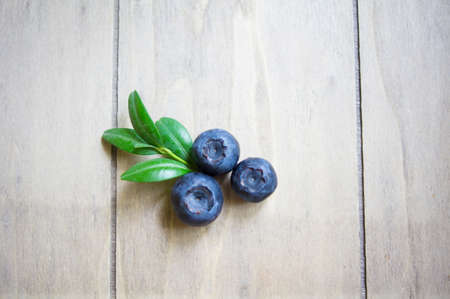 Blueberry antioxidant organic superfood in a bowl concept for healthy eating and nutritionの写真素材