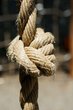 Close up of sea cable outdoor in synny day
