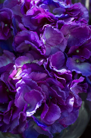 Bright peony flowers in a vaseの写真素材