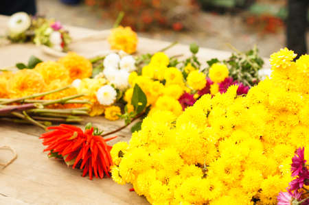 Autumn flowers and fruits in big composition