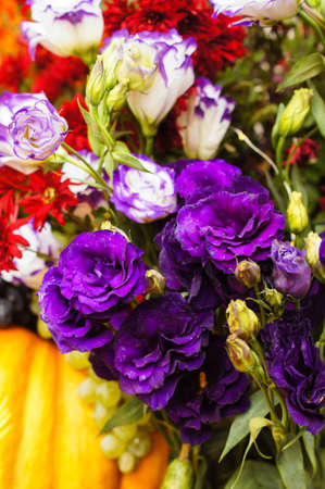 Autumn flowers and fruits in big compositionの写真素材