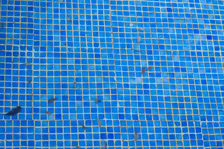 Outdoor pool in the tropical area with blue water and laderの写真素材