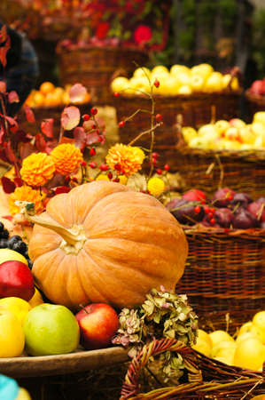 Autumn flowers and fruits in big compositionの写真素材