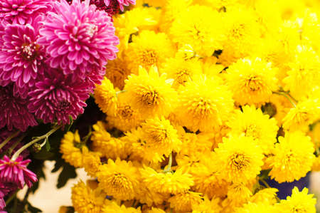 Autumn flowers in the vase on the tableの写真素材