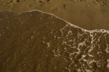 Soft wave of the sea on the sandy beach
