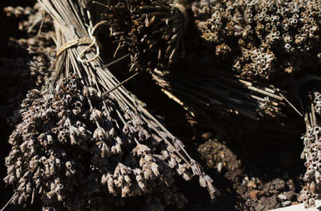 Bunch of dry lavender flowers on the table
