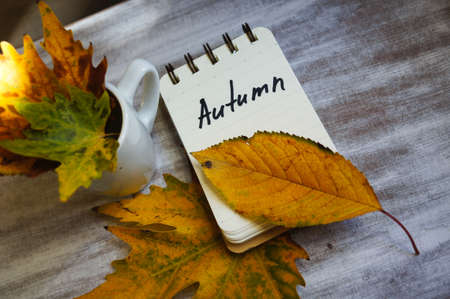 Autumn time, cup of coffee, yellow autumnal leaves and notesの写真素材