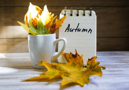 Autumn time, cup of coffee, yellow autumnal leaves and notesの写真素材