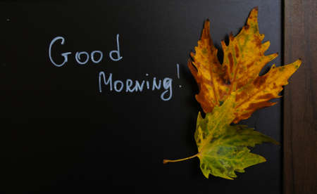 Autumn time, yellow autumnal leaves on the chalkboard with noteの写真素材