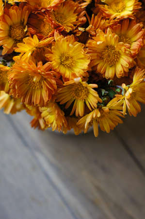 Yellow chrysanthemum flowers in a vase on the tableの写真素材