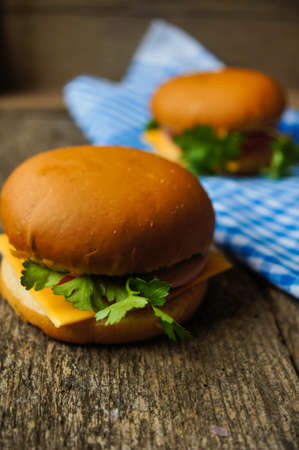 Homemmade hamburger with fresh tomatoes and cheeseの写真素材