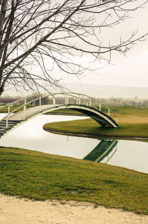 Country landscape, with green grass field, river and bridgeの写真素材