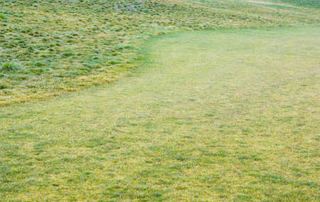 Country landscape, with green grass field, river and bridgeの写真素材