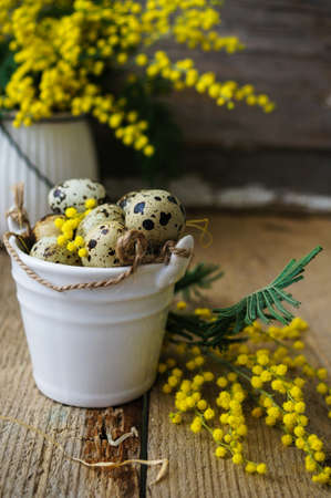 Easter time, Hand decorated Easter Eggs and speckled birds eggs in straw with a branch of colorful yellow clusters of mimosa flowers in a natural country Easter backgroundの写真素材