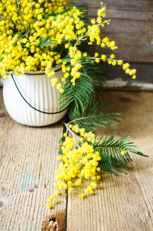 Easter time, yellow mimosa flowers on the old tableの写真素材