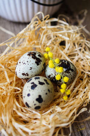 Easter time, Hand decorated Easter Eggs and speckled birds eggs in straw with a branch of colorful yellow clusters of mimosa flowers in a natural country Easter backgroundの写真素材