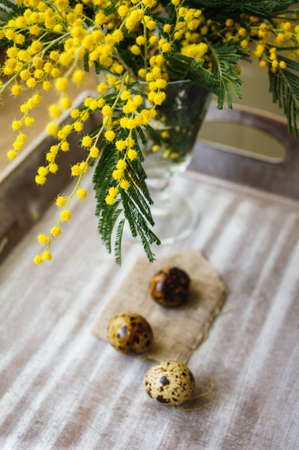 Easter time, Hand decorated Easter Eggs and speckled birds eggs in straw with a branch of colorful yellow clusters of mimosa flowers in a natural country Easter backgroundの写真素材