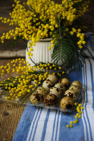Easter time, Hand decorated Easter Eggs and speckled birds eggs in straw with a branch of colorful yellow clusters of mimosa flowers in a natural country Easter backgroundの写真素材