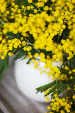 Easter time, yellow mimosa flowers on the old tableの写真素材