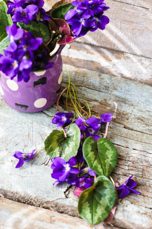 First spring flowers of violets and cup of coffee on the old wooden table