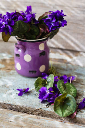 First spring flowers of violets and cup of coffee on the old wooden table
